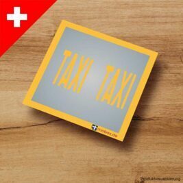 TAXI-Straßenmarkierung gelb (Schweiz) - Spur N - 1:160